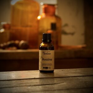 Avoine cultivée