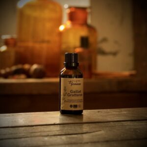 Gaillet gratteron