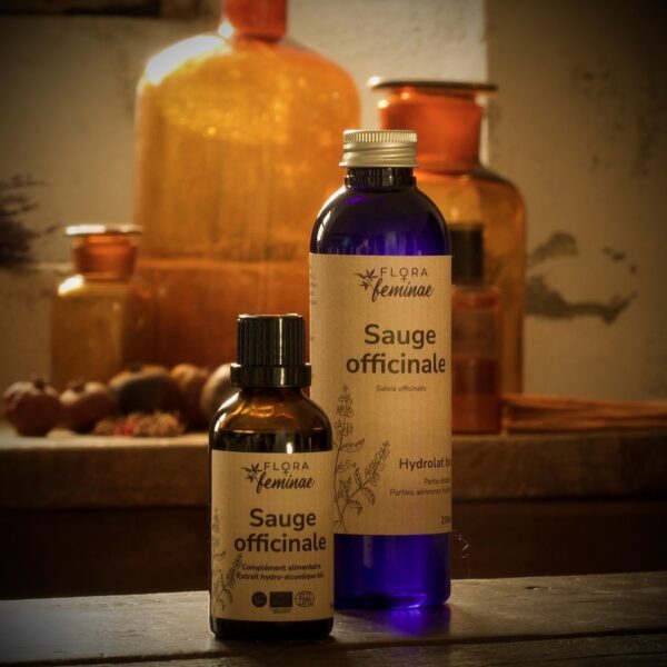 Sauge officinale