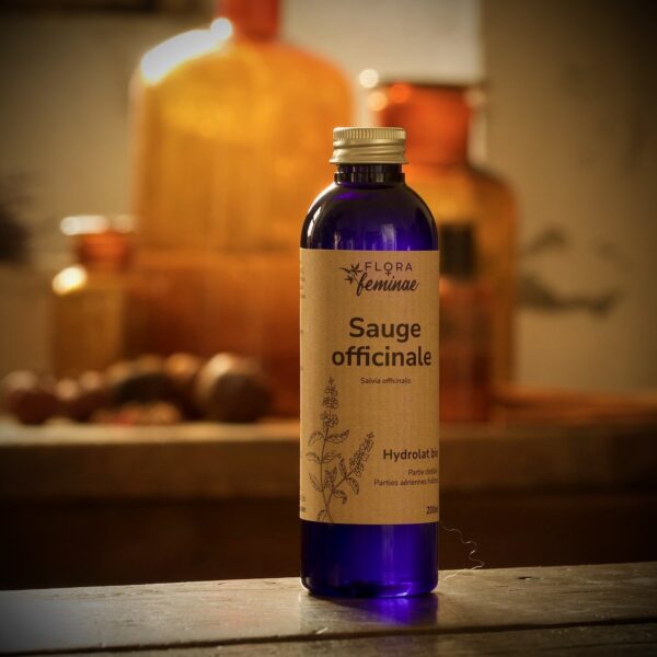Sauge officinale – Image 4