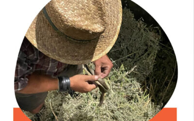 Du 29 novembre au 2 décembre 2025, je serai au salon Natexpo.